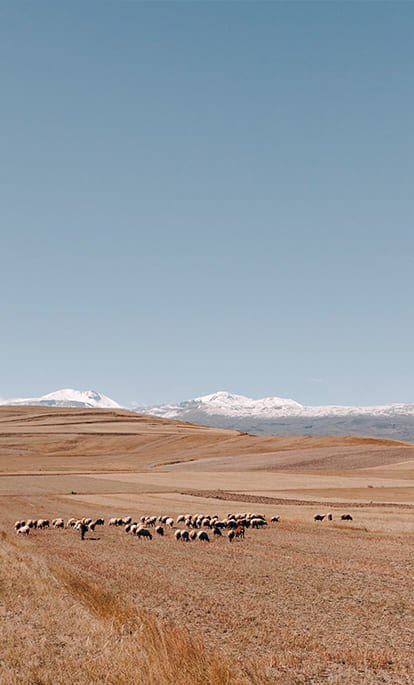 Travel in Central Asia