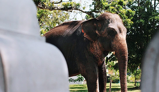 Sri Lanka