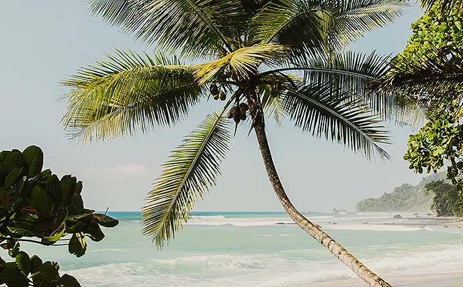 Where to travel in June?