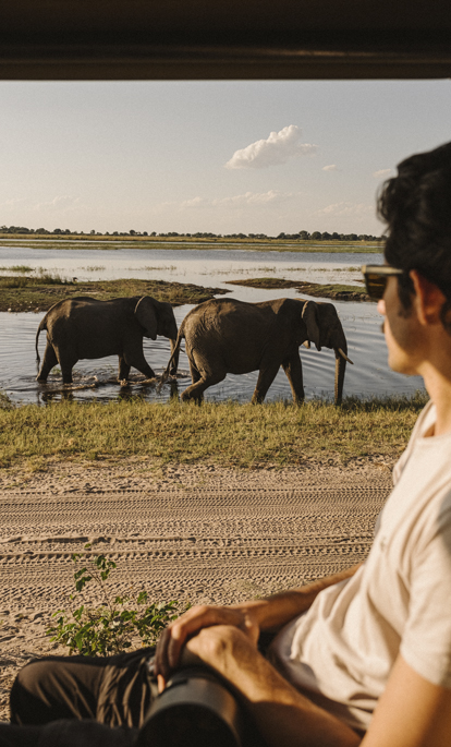 Safaris