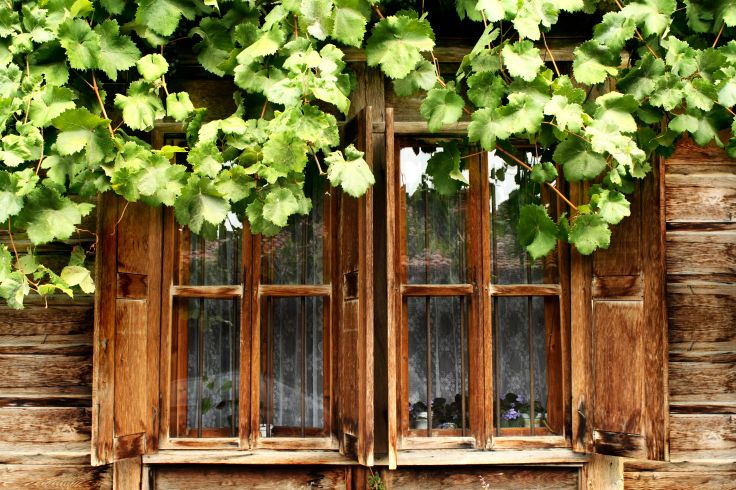 Itineraries Bulgaria - Sofia - Melnik - Trigrad - Veliko Tarnovo - Koprivshtitsa