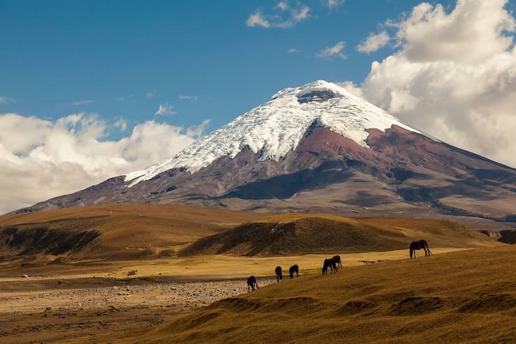 Itineraries Ecuador - Quito - Volcanoes - Amazon - Baños - Pacific Coast