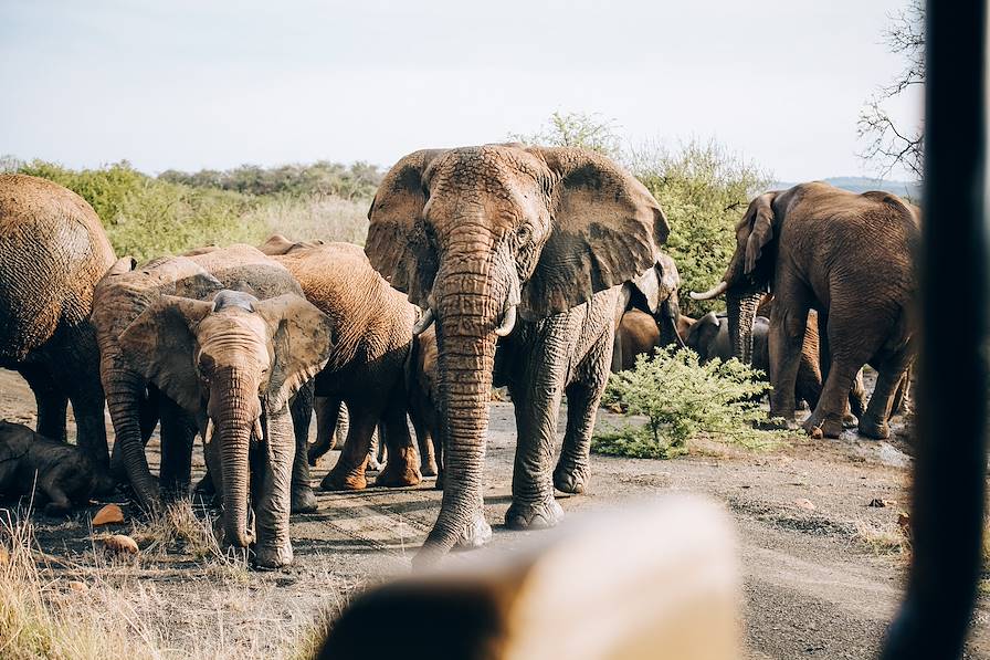 Ladysmith - KwaZulu-Natal - Afrique du Sud © Olivier Romano