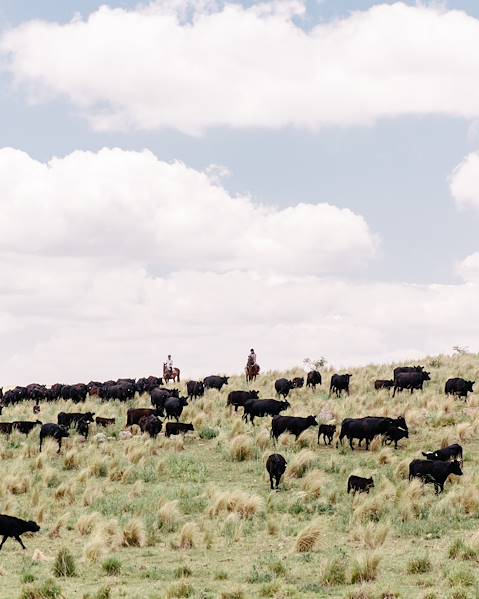 Itineraries Argentina - Buenos Aires - Valdes - Ushuaia - Andean Patagonia - Northwest