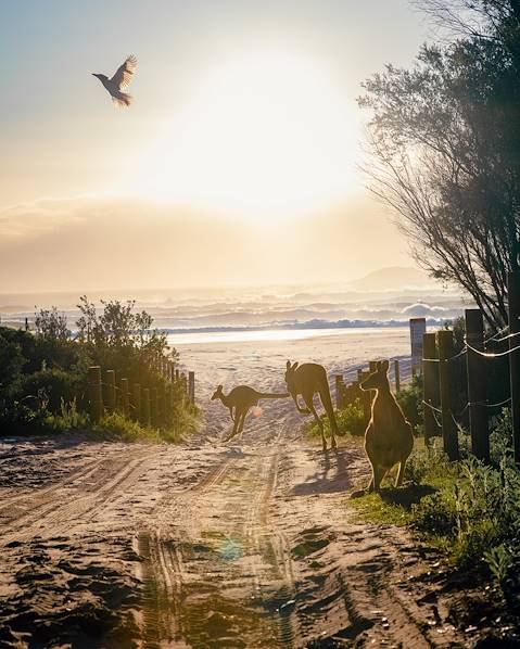Itineraries Australia - Sydney - Queensland - East Coast - Whitsundays - Fraser Island