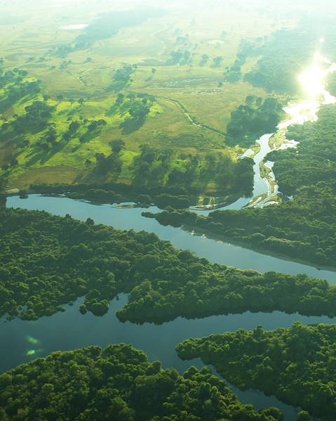 Itineraries Brazil - Rio de Janeiro - Campo Grande - Pantanal