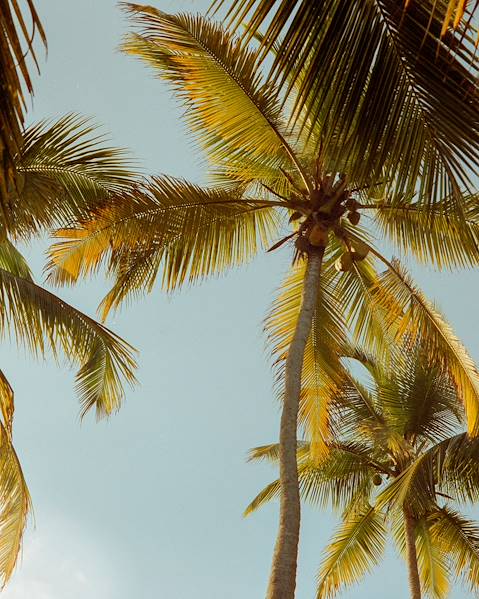 Itineraries Colombia - Bogotá - Salento - Cafe Region - Medellín - Tayrona National Park - Cartagena