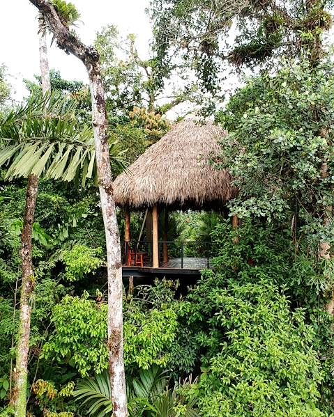 Itineraries Costa Rica - Arenal - Monteverde - Pacific Coast