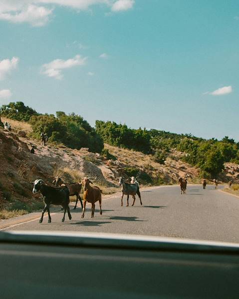 Itineraries Greece - Athens - Peloponnese