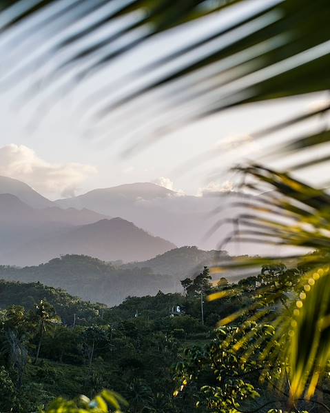 Itineraries Jamaica - Kingston - Port Antonio - Boston Bay - Blue Mountains