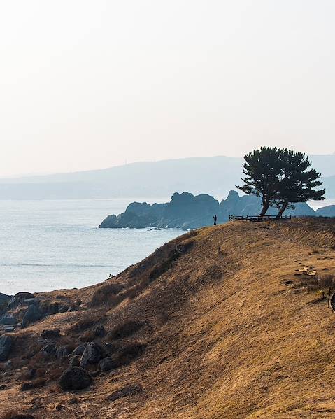 Itineraries Japan - Tokyo - Northern Honshu - Tohoku region