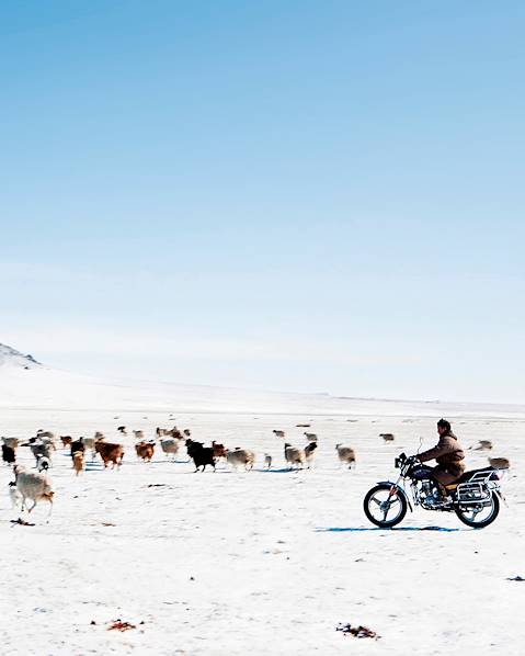 Itineraries Mongolia - Ulaanbaatar - Bulgan - Lake Khovsgol