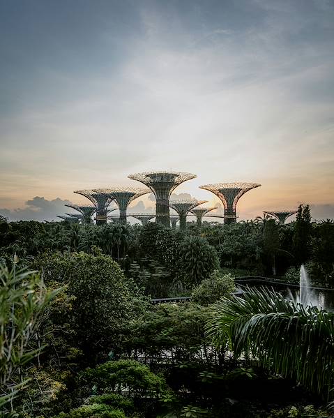 Itineraries Singapore - Malaysia - Malacca - Kuala Lumpur - Taman Negara - Pulau Tengah