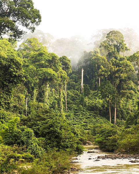 Itineraries Malaysia - Kuching - Penang - Perhentian Islands