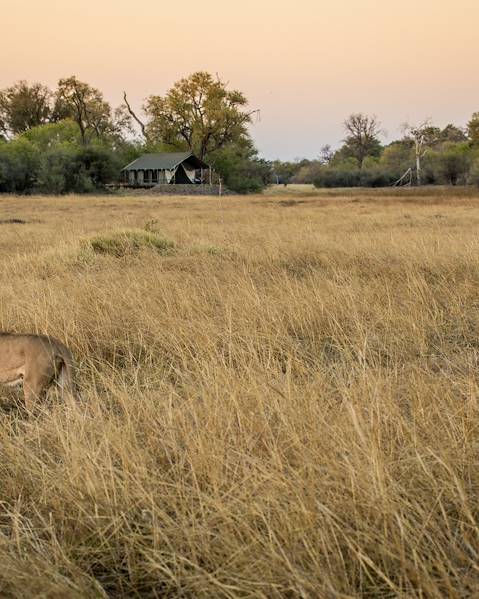 Itineraries Namibia - Zimbabwe - Botswana