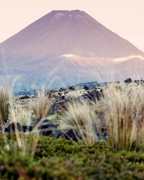 Itineraries New Zealand - North Island - Fiji
