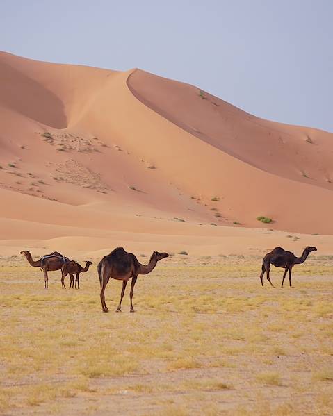 Itineraries Oman - Muscat - Wahiba Desert
