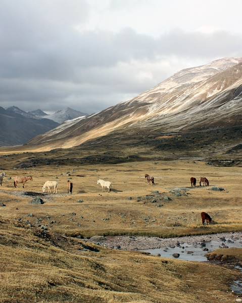 Itineraries Peru - Lima - Amazonas - Titicaca - Cuzco - Machu Picchu