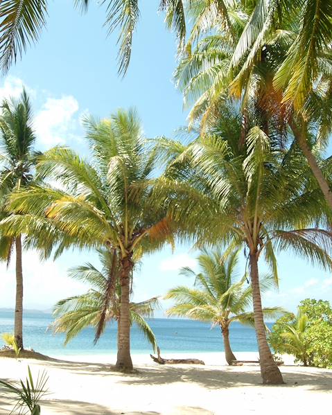 Itineraries Philippines - Manila - Palawan