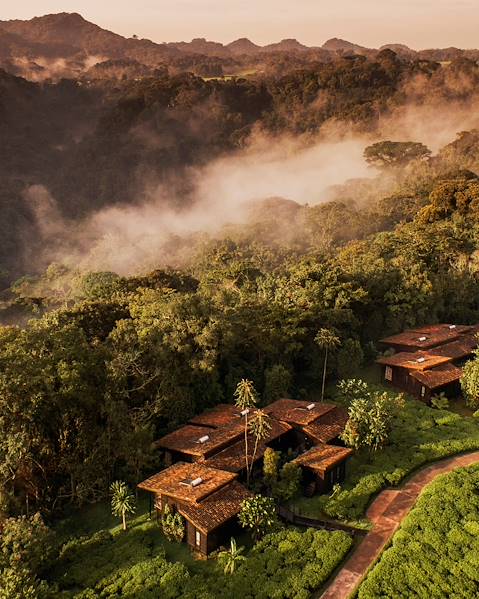 Itineraries Rwanda - Kigali - Nyungwe Forest - Volcanoes National Park