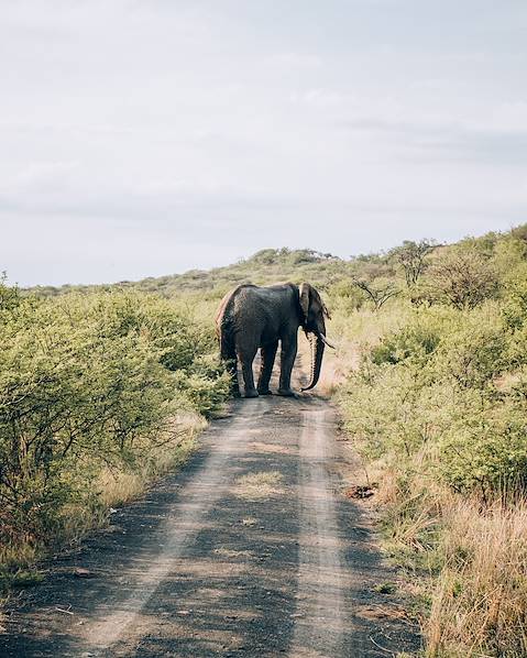 Itineraries Arusha - Tarangire - Ngorongoro - Olduvai - Serengeti