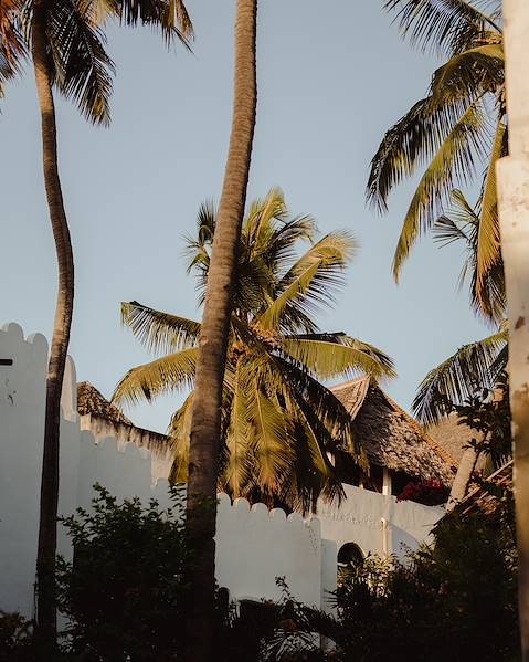 Itineraries Tanzania - Zanzibar - Arusha - Karatu - Serengeti - Manyara - Ngorongoro - Tarangire - Stone Town