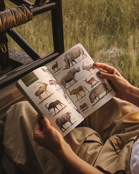 Itineraries Tanzania - Tarangire - Katavi - Mahale
