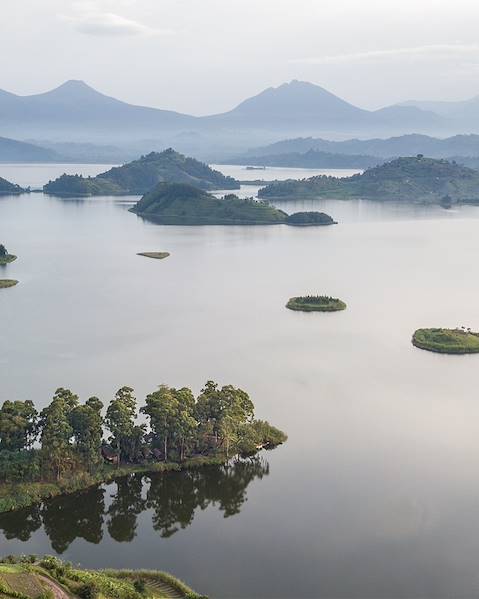 Itineraries Uganda - Entebbe - Bwindi - Tanzania - Arusha - Lake Manyara - Karatu - Tarangire - Zanzibar