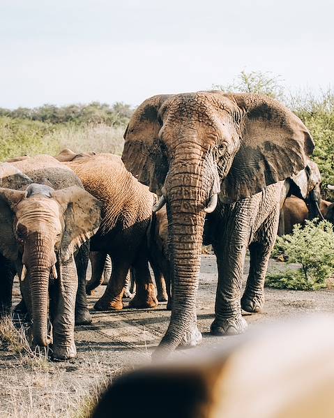 Itineraries South Africa - Johannesburg - Karongwe Game Reserve - Cape Town